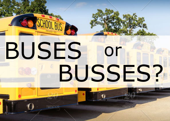 Buses or Busses? | GrammarPlanetHQ